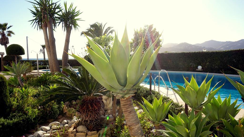 Apartamentos Starnerja En Stella Maris חדר תמונה