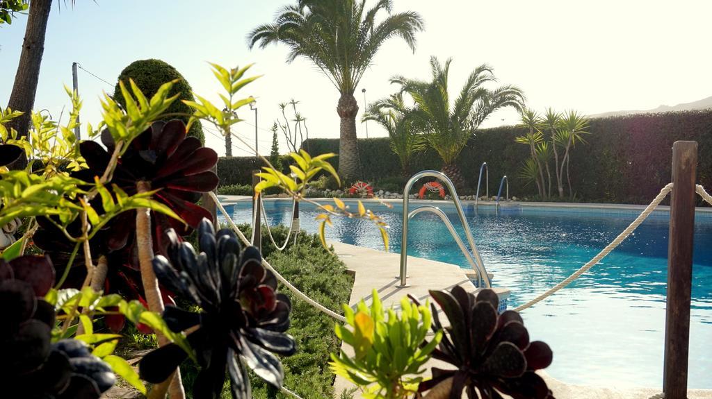 Apartamentos Starnerja En Stella Maris חדר תמונה